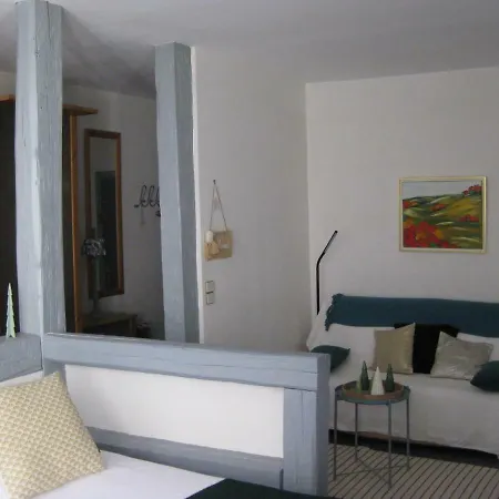 Les Trois Rois Centre Appartement Colmar